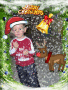 Animated Picture