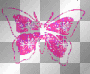 Butterfly3