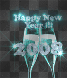 Happy new year 2008