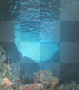 underwater scene underwater scene