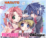 Picture Perfect Team 7