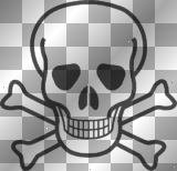 Skull and bones