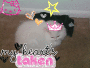 My sister's kitty #1!