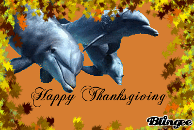 Happy Thanksgiving