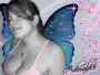 the butterfly