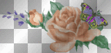 Roses and butterfly