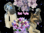 PandaBear,Shiloh,Kayleigh