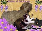 Miika' & Nicklous