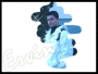 ervin_*