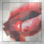 lips