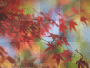 fall