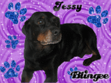 jessy