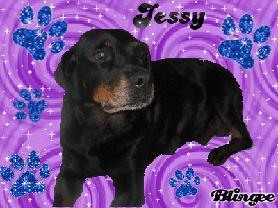 jessy jessy