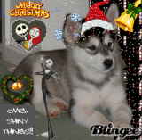 Merry X-mas
