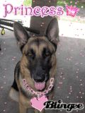 zasha the princess