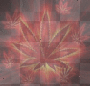 WEED