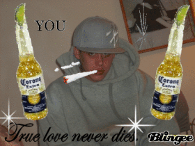 robert