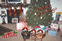 Xmas