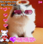 kitty