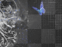 butterfly night