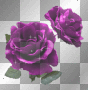 lilla rose