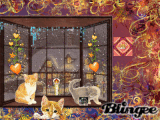 THE CAT HOUSE