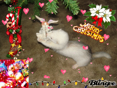 Bridgett Christmas 2007 Blingee