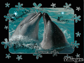 dofin