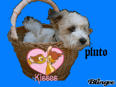 pluto