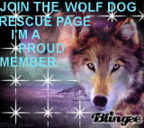 WOLF DOG RESCUE