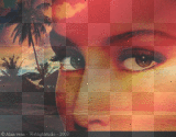 femme ,coucher de soleil