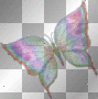 Butterfly Butterfly
