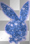 lapin playboy bleu