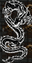 BlackDragon