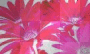 Pink flowers