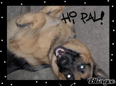 Rocko saying hi!