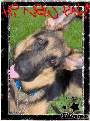 new pal for rocko! new pal for rocko!