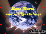 Love Earth