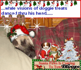 Great Dane