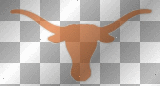 longhorns