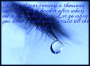 tear