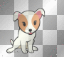 Lickey dog