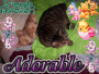 mzbebeanjo200726