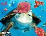rpurplefrog