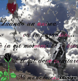 qnd un anima 