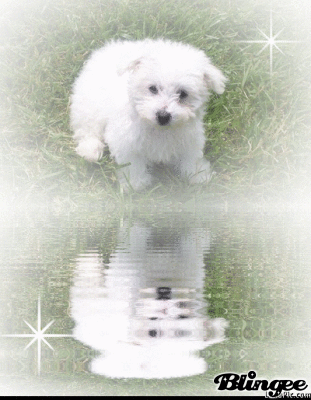 Daisy relected