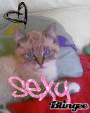 just-me-djess 07