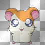hamtaro!