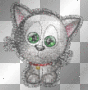 kitty