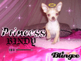 BINDY